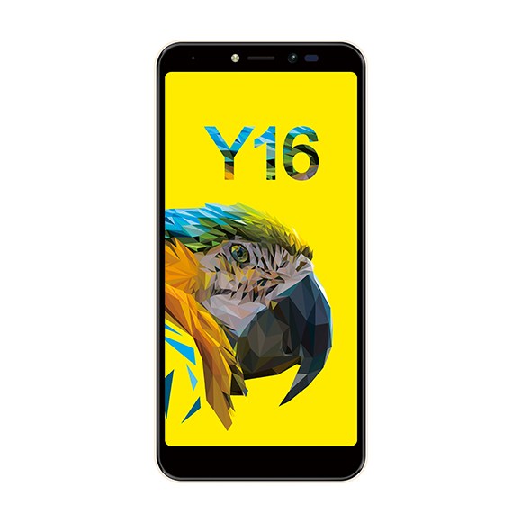 SmarTone Online Store Sugar Y16